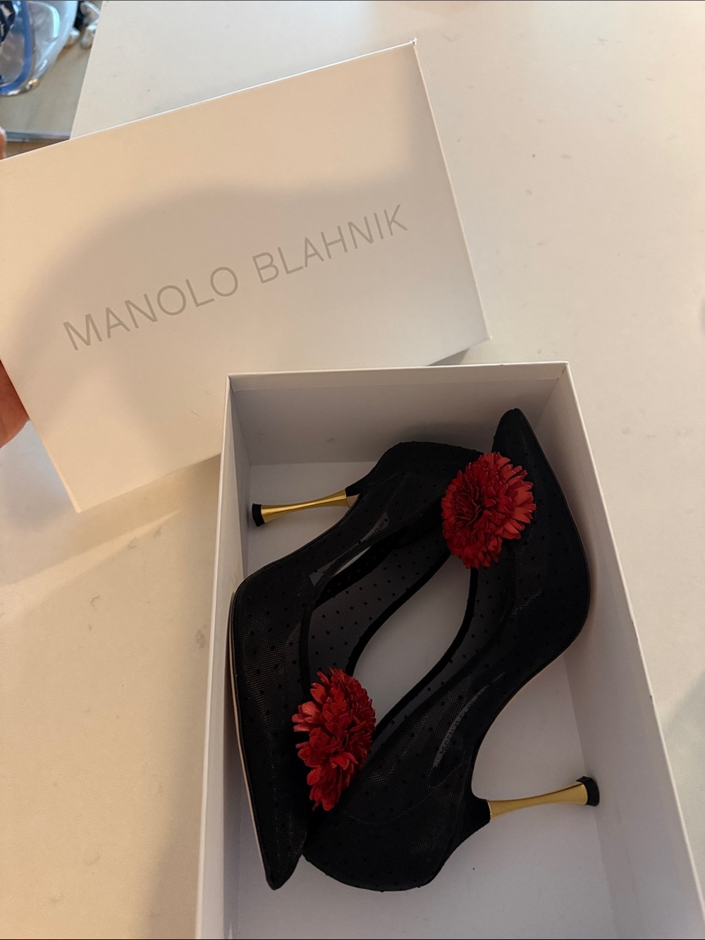 Manolo Blahnik Black Polka Dot Mesh Pumps with Red Floral Appliqué